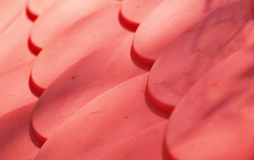 Falmer plastic roof costs