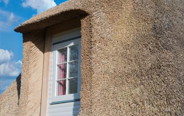 Falmer thatch roof disadvantages